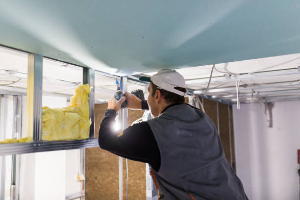Best Geographic-Specific Insulation Services in Glenwood City, WI