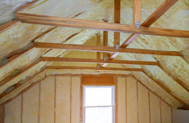 Best Specialized Insulation Services in Glenwood City, WI