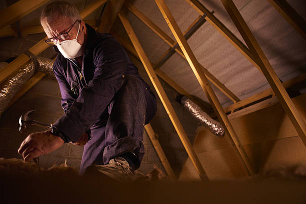 Best Cellulose Insulation in Glenwood City, WI