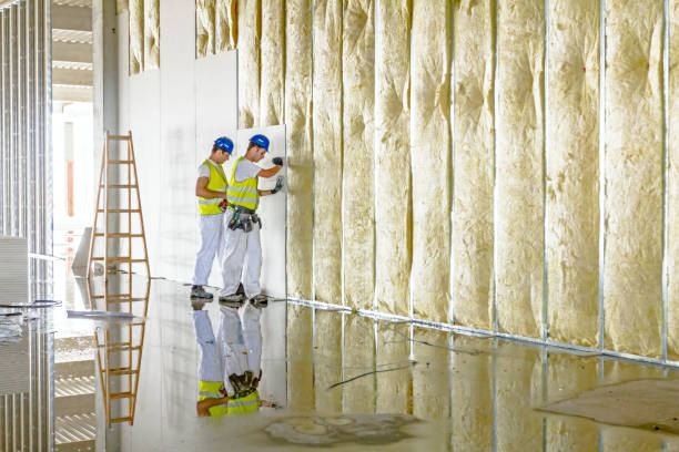 Best Spray Foam Insulation in Glenwood City, WI